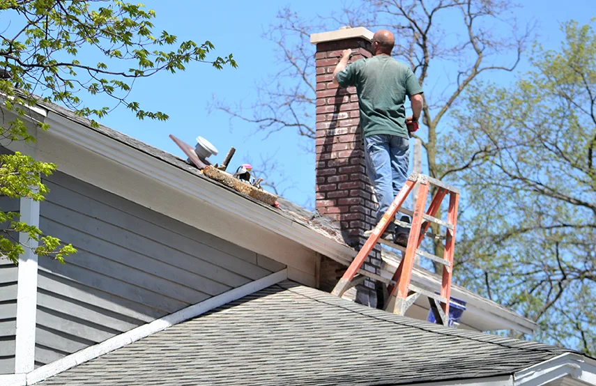 Chimney & Fireplace Inspections Services in Hollins, VA